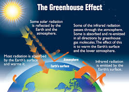 What Is Greenhouse Effect