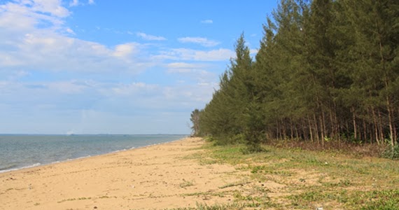 Pantai Selimpai