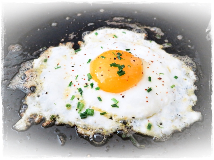 Sudden Lunch! Suzy Bowler The Best Ways to Store Eggs & Good Ways to