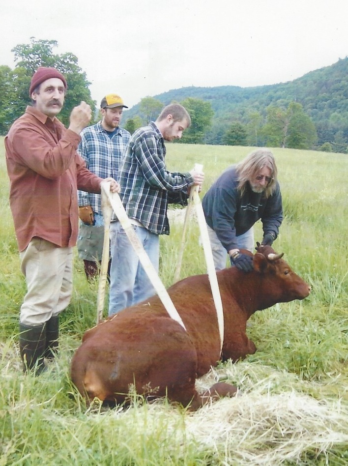 What's Up at Motherhouse Backyard Dairy Tips and Tricks