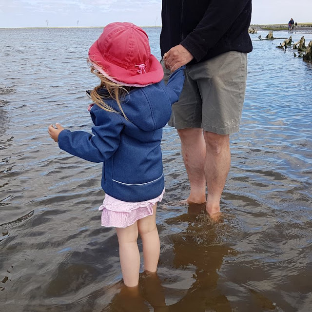 9 Tipps für eine Tour im Wattenmeer mit kleinen Kindern. Auf einem Ausflug ins Watt haltet Ihr Kleinkinder am besten an der Hand.