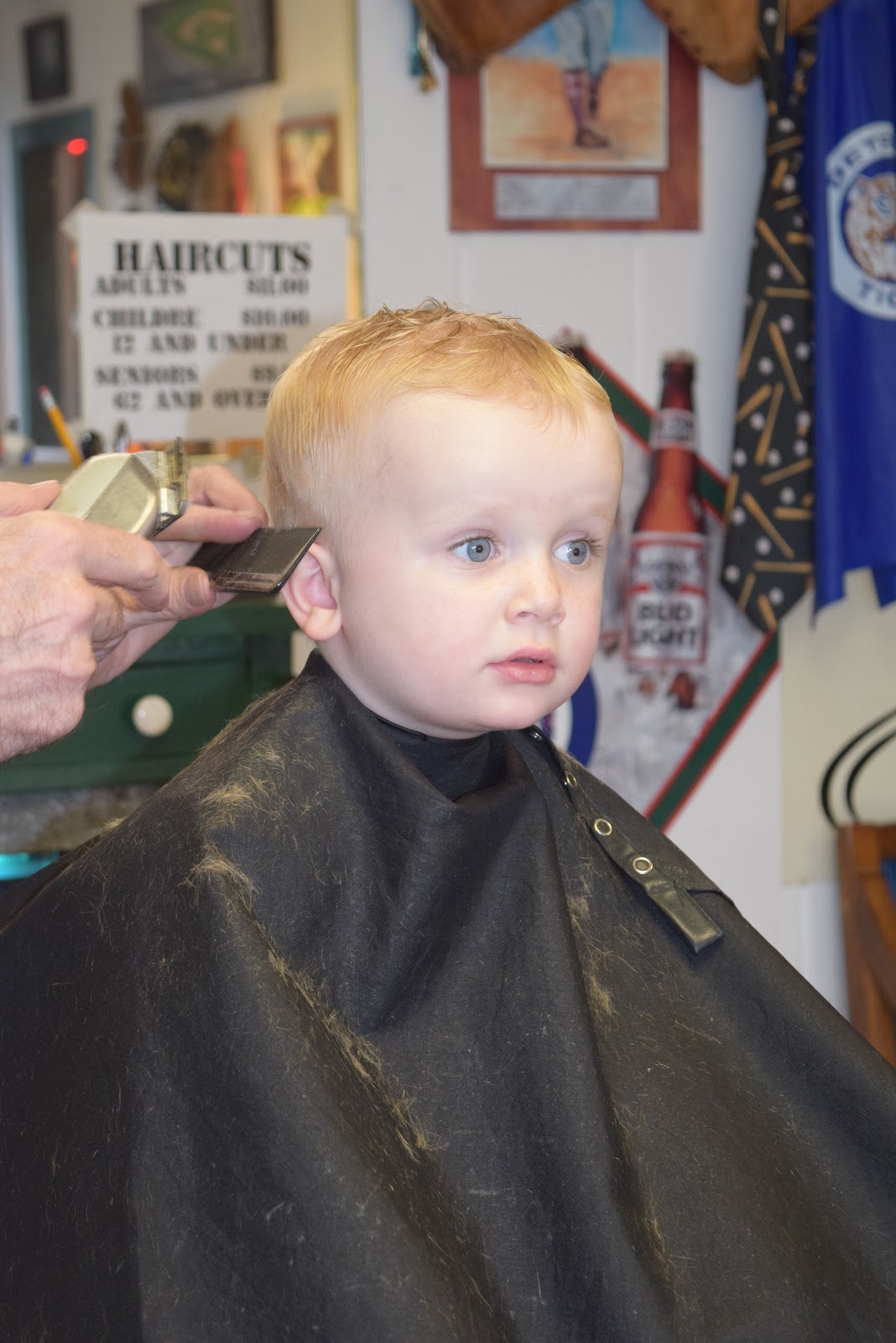 The Lapinski Family Jimmy S First Haircut