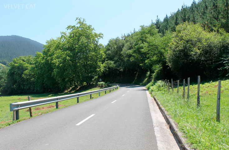 Hoy compartimos tiempo de verano fotografía