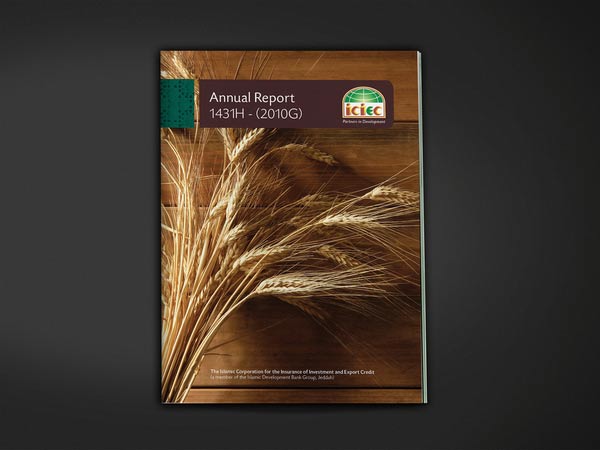 annual report design