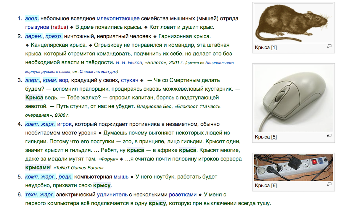 Что значит крыса. Что значит крыса. Доклад про домашних крыс. Что значит крыса. Крыса для презентации.