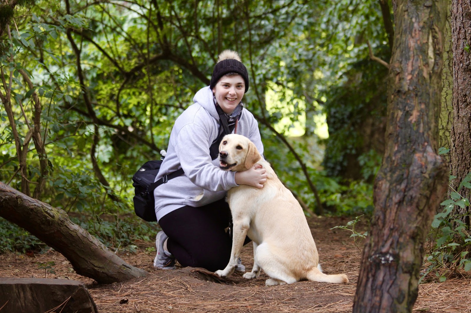labrador cuddle dog park forest walkies lifestyle blog