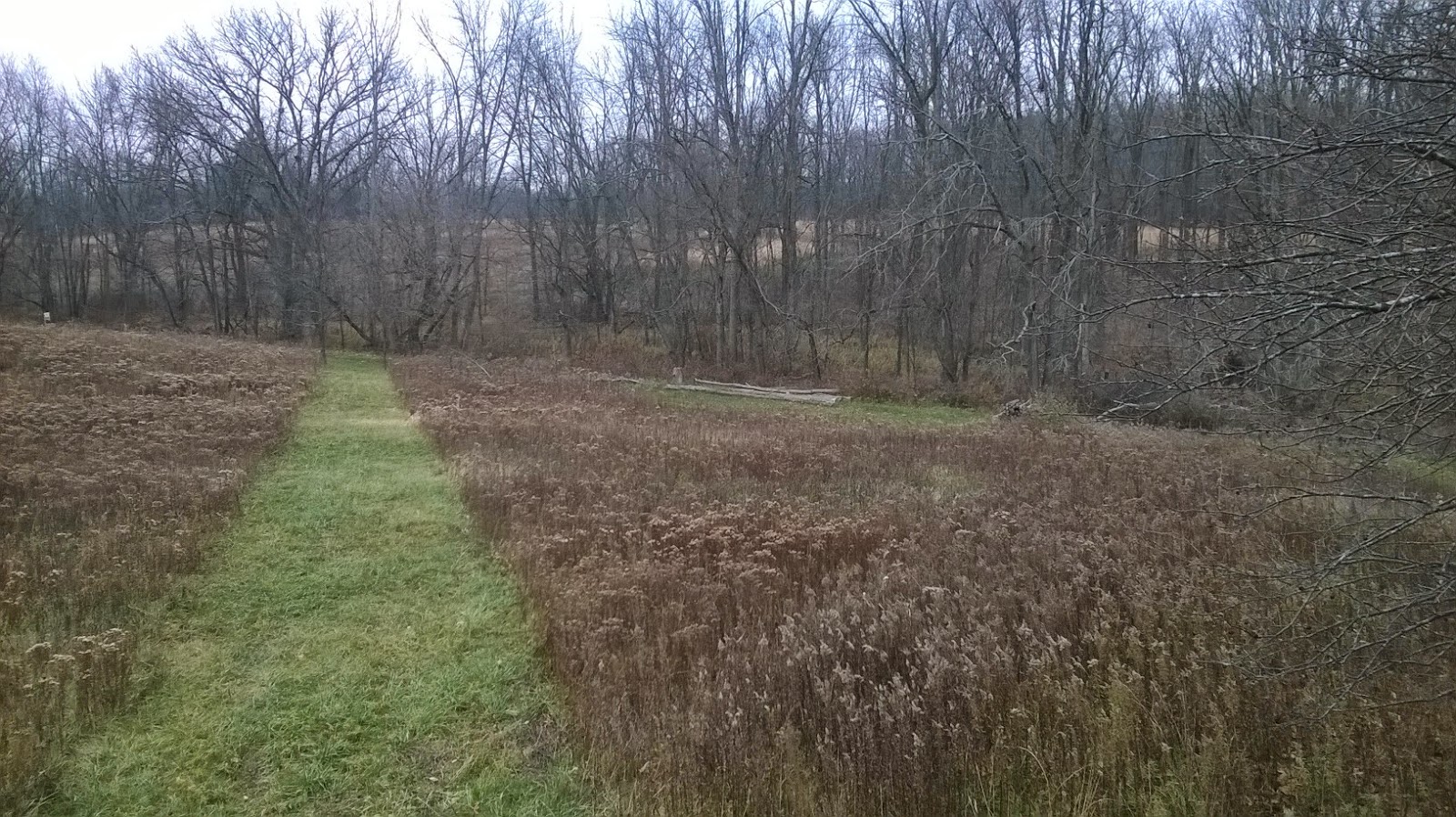 Eaton Rapids Joe View from the Deer Stand