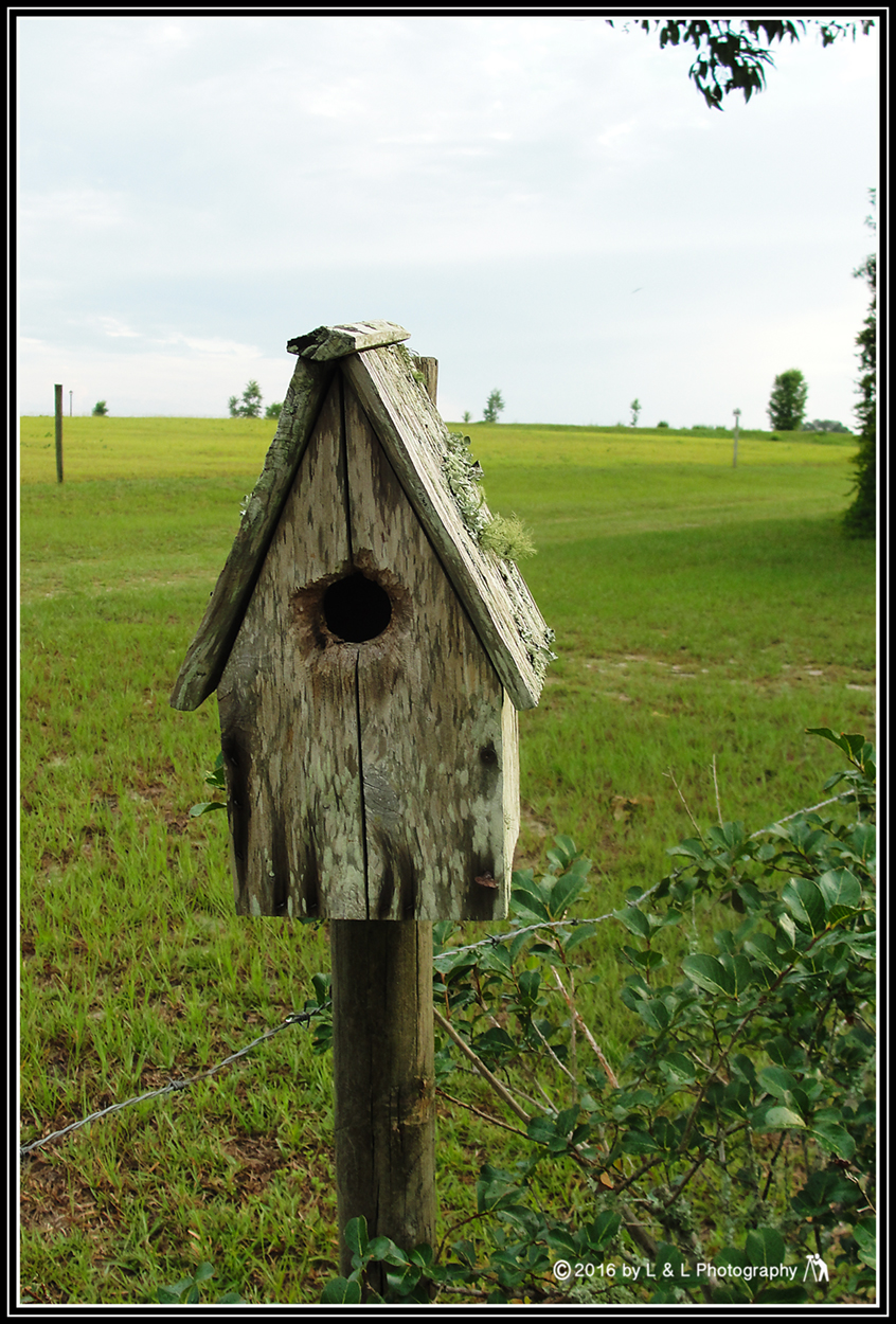 Ocala, Central Florida & Beyond Old Bird House for Old Birds