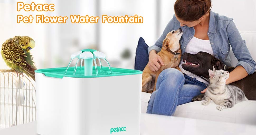 Water Filters, Whole House Reverse Osmosis System, Filter System BLOG