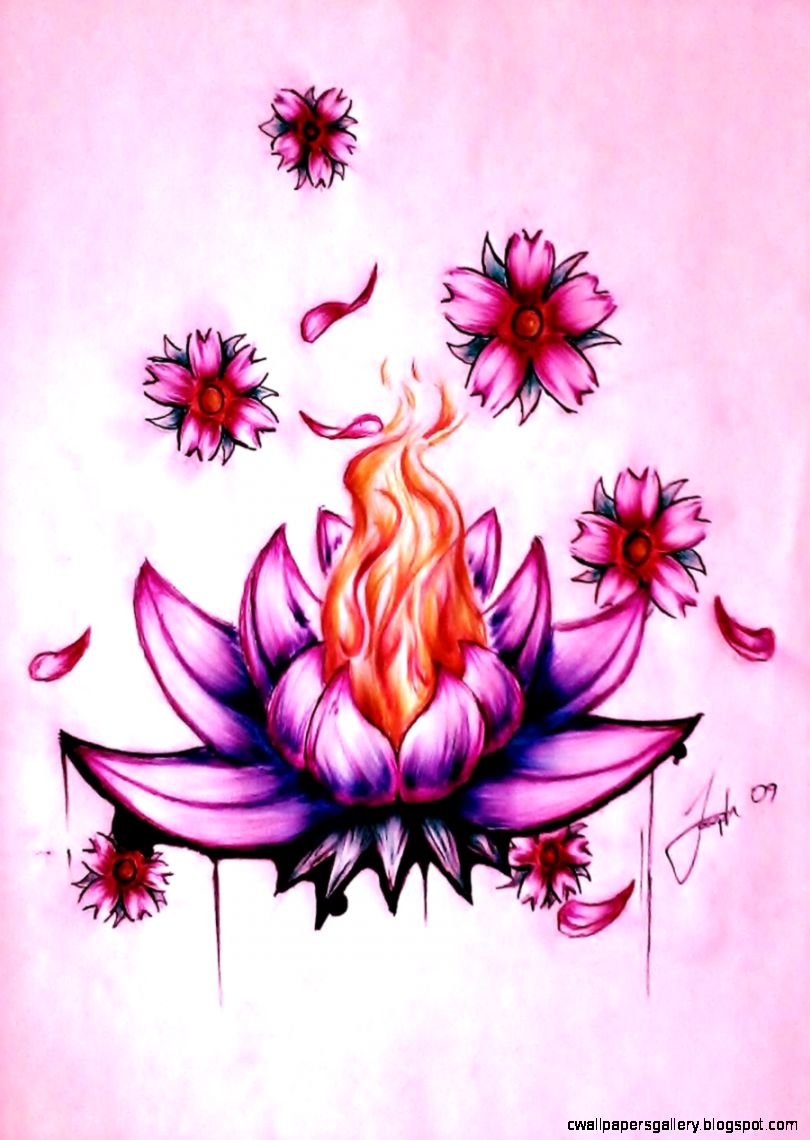 Lotus Flower Drawing Tumblr Wallpapers Gallery