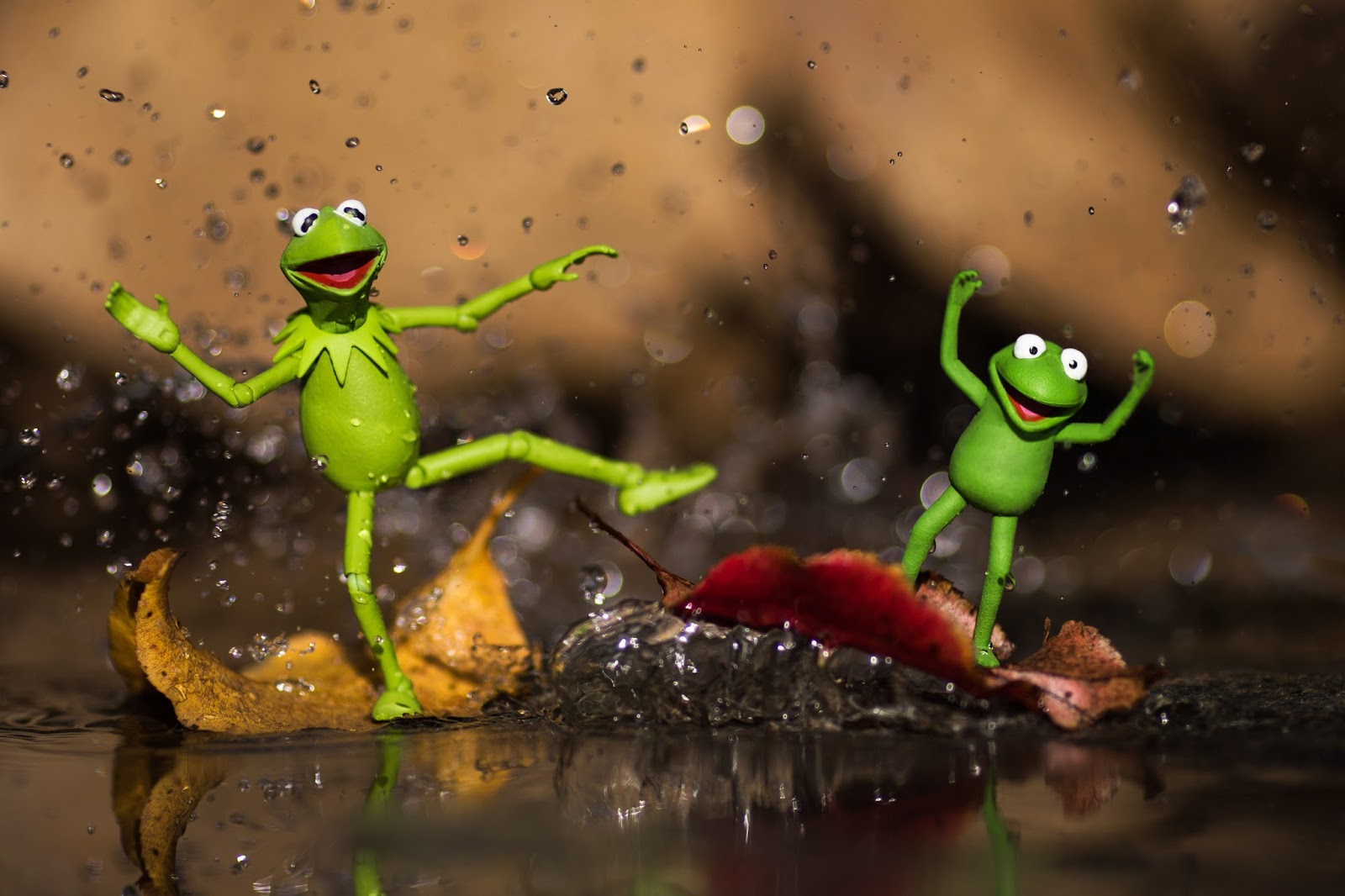 Toy Photography // Kermit & Robin.