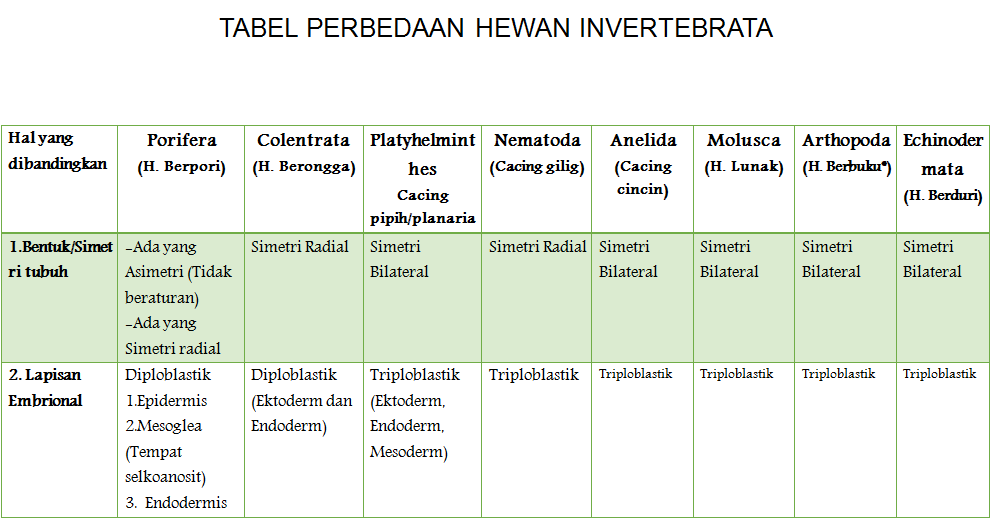 Utak Atik Tugas Tabel Perbedaan Hewan Invertebrata