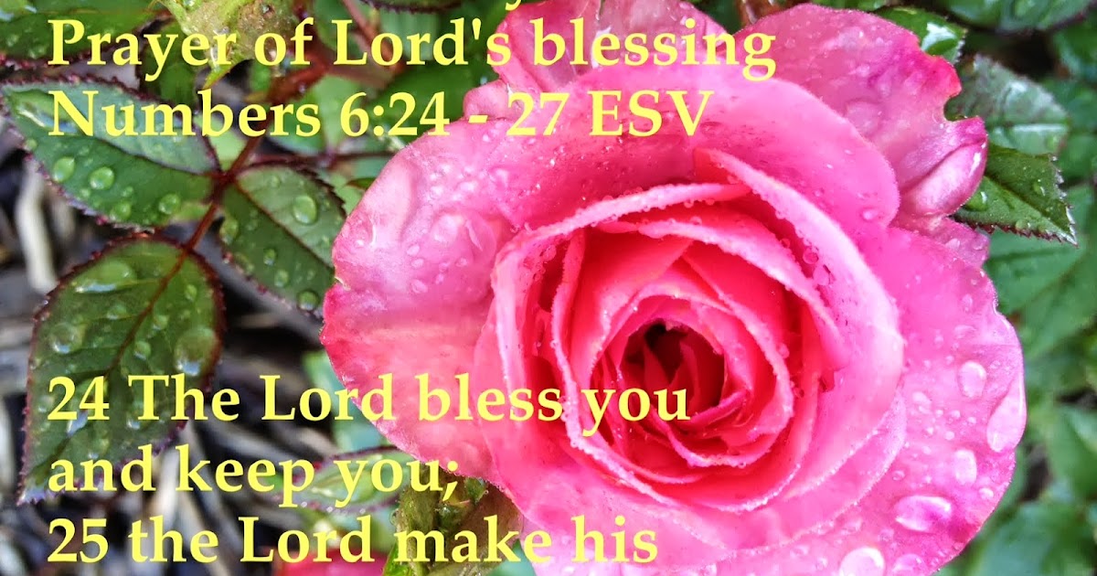 Turf King Hamilton Lawn Care Verse Of The Day Prayer Of Lord S Blessing Numbers 6 24 27 Esv 24 The Lord Bless You And Keep You 25 The Lord Make His Face