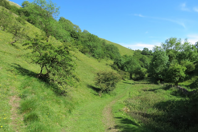 At the bottom pf a green, tree-studded hillside, a narrow path winds its way ahead on the valley floor. 