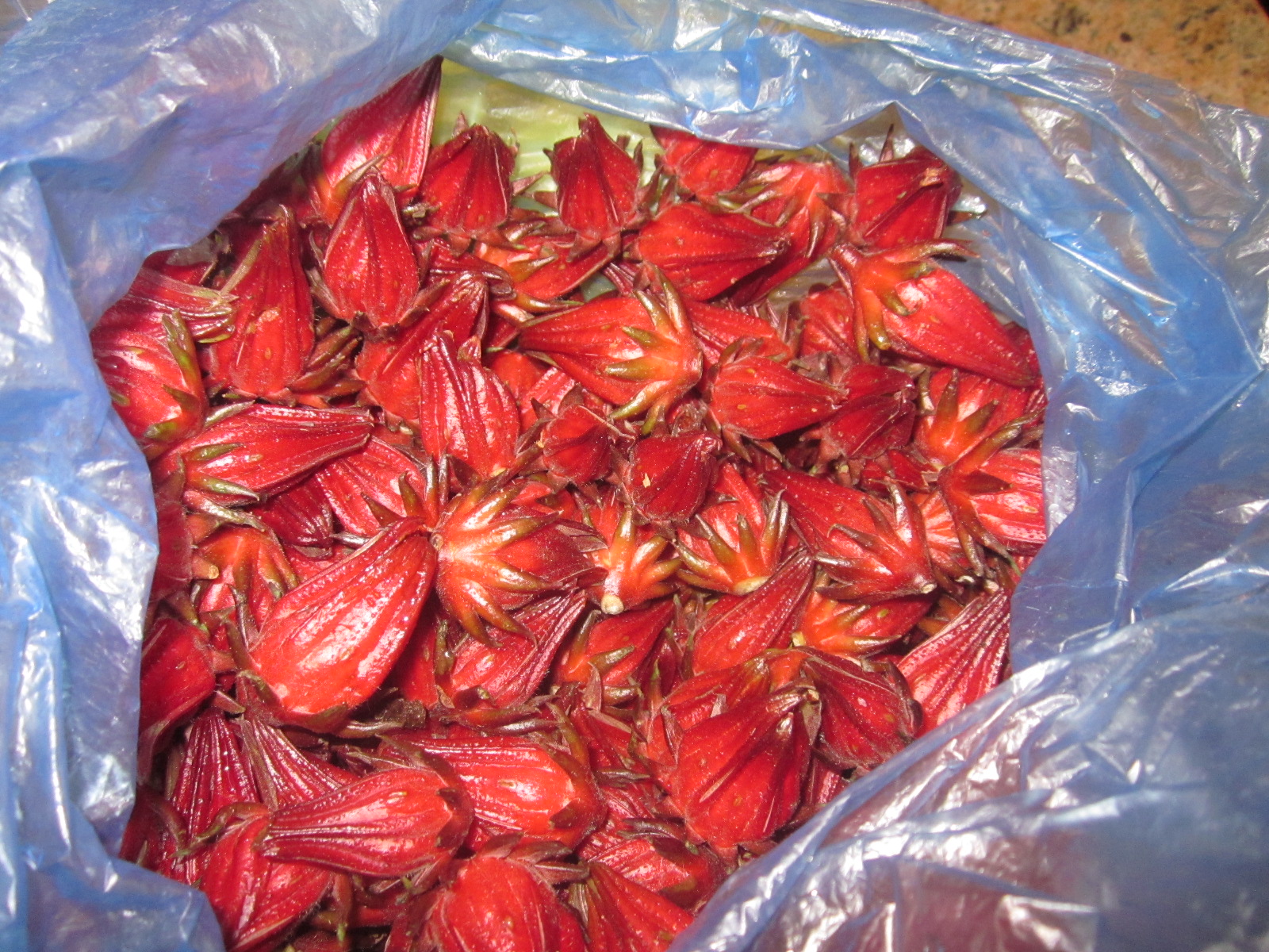 How to make Rosella (Roselle) Juice and Tea