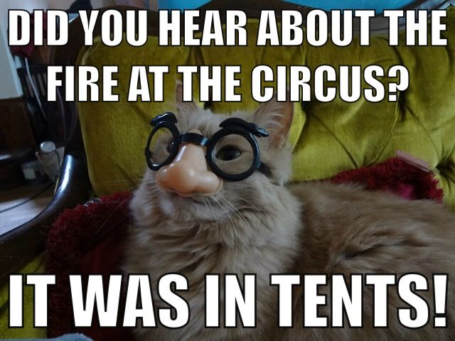 Stupid Jokes Photos Stupid Jokes Photos