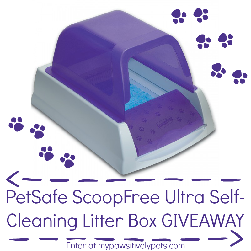 Petsafe Litter Box Manual