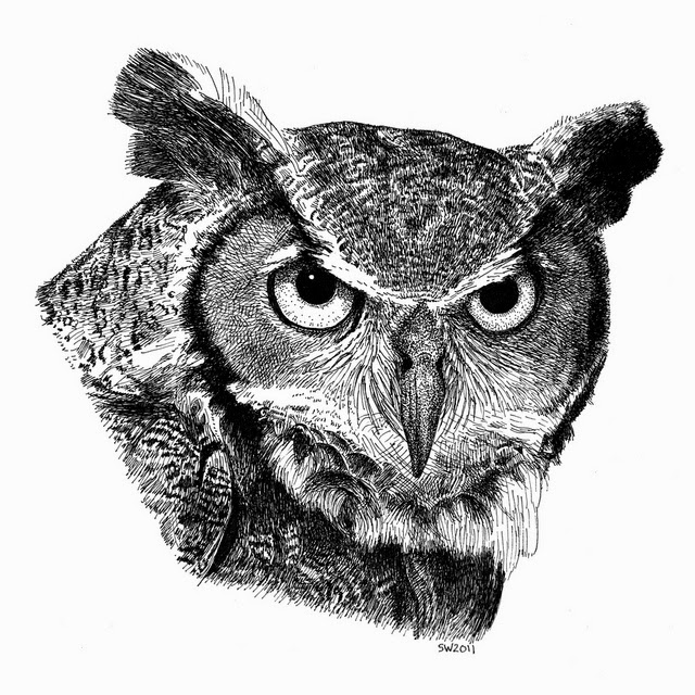 Ink Owl