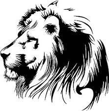 lion vector draw, sketch, design, pencil, picture, lay أسد تصميم وجه رسم, lion, blog lion, blogslion,  lion photos , صور, صور اسود, خلفيات اسد, hd اجمل اسد,