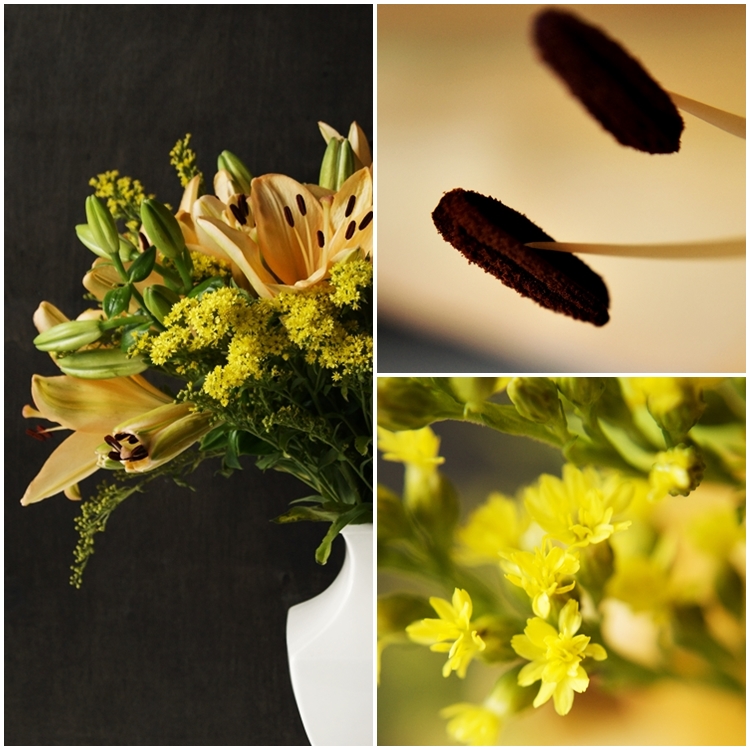 Blog & Fotografie by it's me! - Collage von lachsfarbenen Lilien und Goldrute