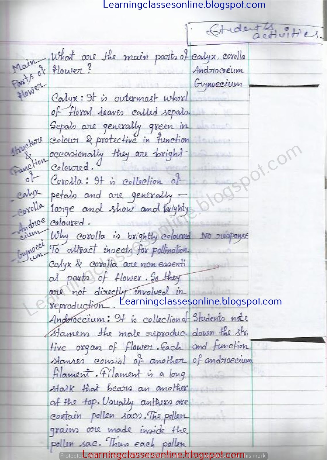 Pollination Lesson Plan