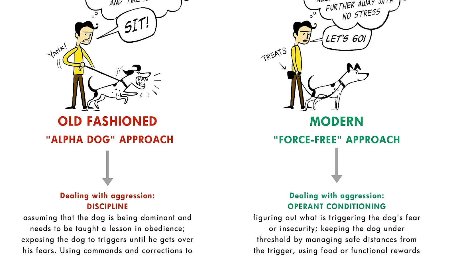 Dog Behavior Modification Dog Choices