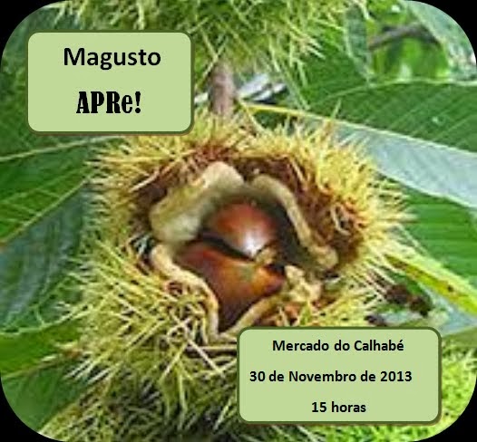 Núcleo de Coimbra Magusto