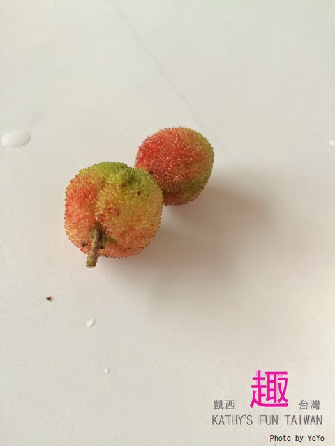 新竹縣北埔鄉。田野情趣南埔村生態體驗行 - 第6張圖