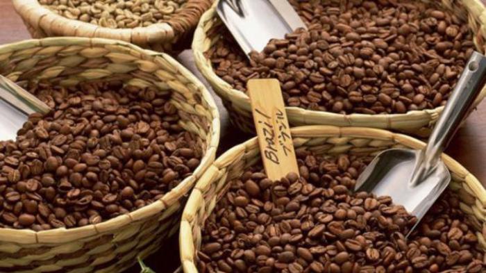 Экспортировать кофе. Кофе Бразилия Арабика сорт. Кофе Арабика Бразилия в зернах. Натуральный зерновой кофе Бразилия. Кофейные плантации.