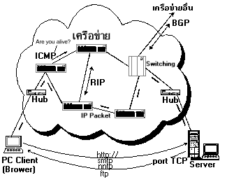ฺBASIC NETWORK: PROTOCAL