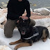 Η Ελληνική Αστυνομία αποχαιρετά τον αστυνομικό σκύλο  Κ9 Τζάκι ...