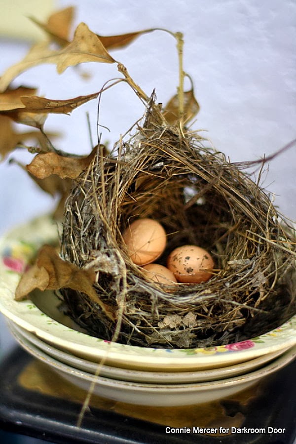 crafty goodies Try It Tuesdaybirds and a nest!