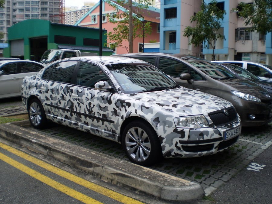 Snow Camo Paint All CAR
