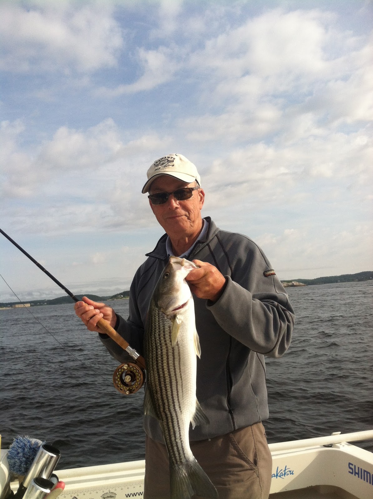 Maine Striper Fishing Charters & Reports Hotline 2076910745 July 2013