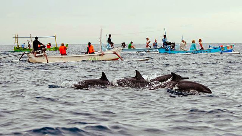 Wisata Bali di Lovina Beach