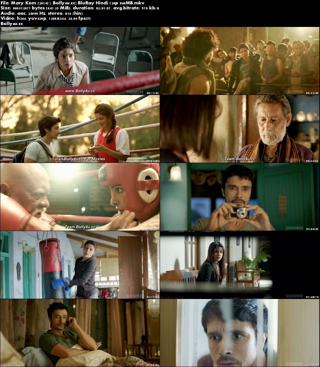 Mary Kom 2014 BluRay 350MB Full Hindi Movie Download 480p