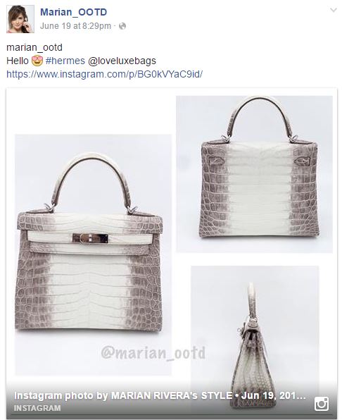 marian rivera bag collection