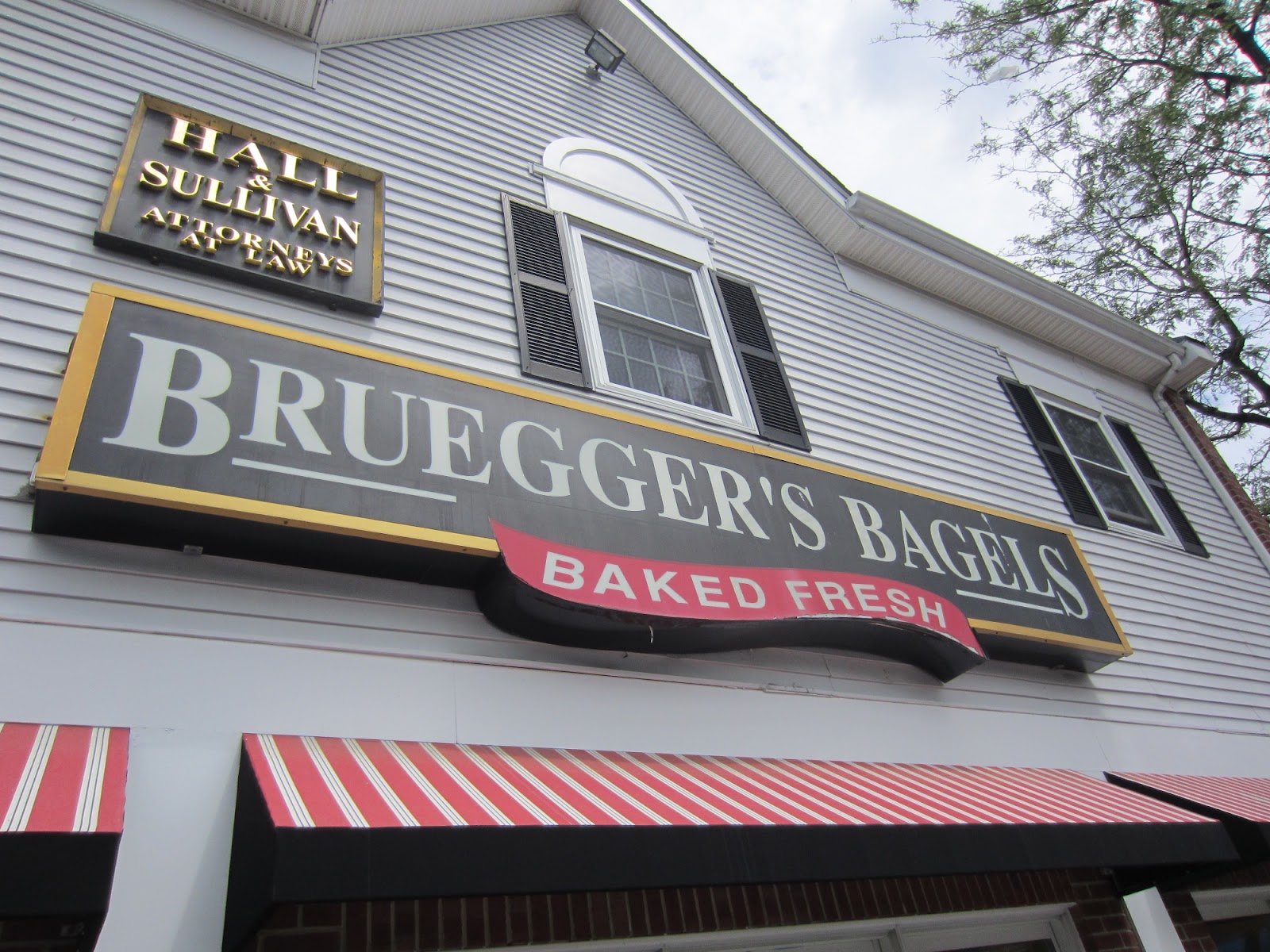 Evan and Lauren's Cool Blog 6/7/12 Bruegger's Yummy Bagels, Free Iced