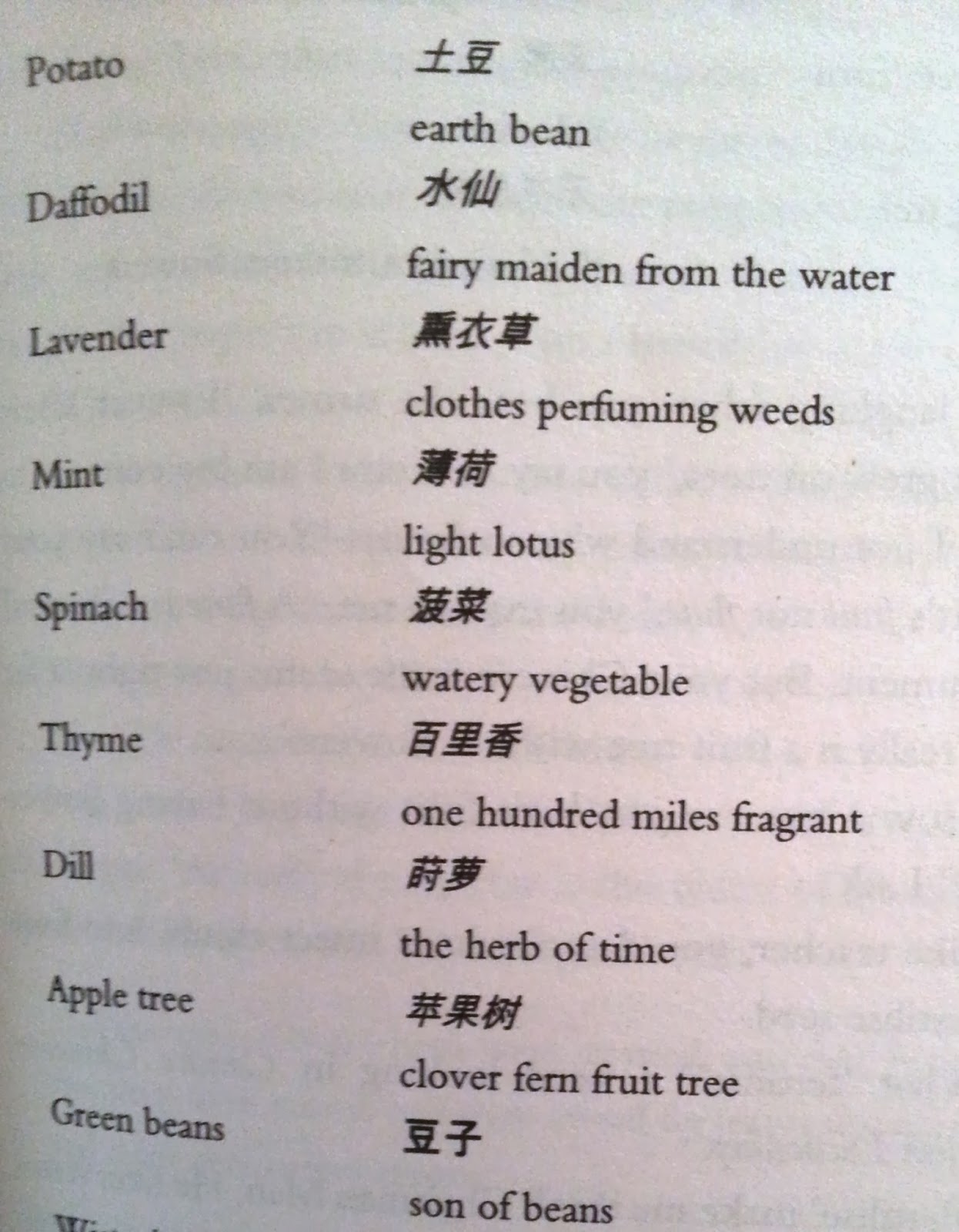 Book 5 review A Concise Chinese English Dictionary for Lovers Xiaolu Guo