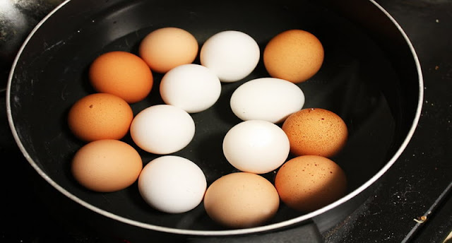 Warna Cangkang Telur Berbeda. Apakah Nilai Gizinya Berbeda? Ini Penjelasanya!