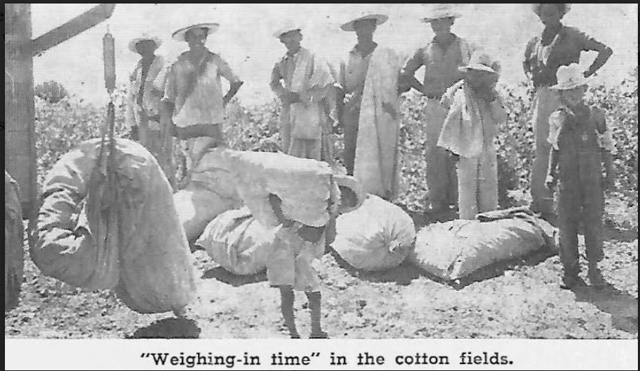EL RRUN RRUN REMEMBER WEIGHINGIN COTTON ON "LA ROMANA" SCALE?