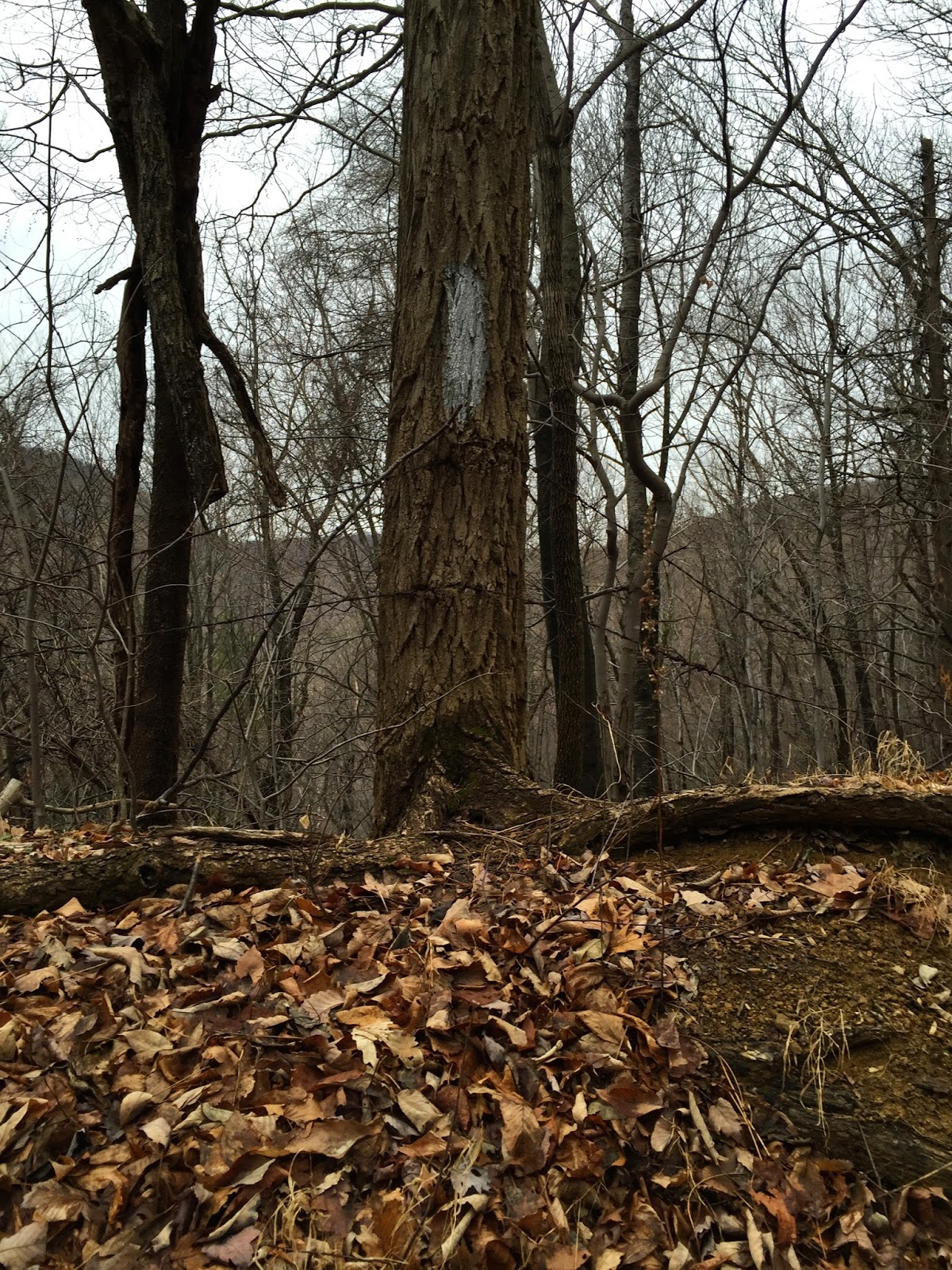 Wandering Virginia Hiking Shenandoah in Winter e Southern Option Wandering Virginia Hiking Shenandoah in Winter e Southern Option