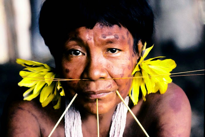 North and south american yanomamo culture essay