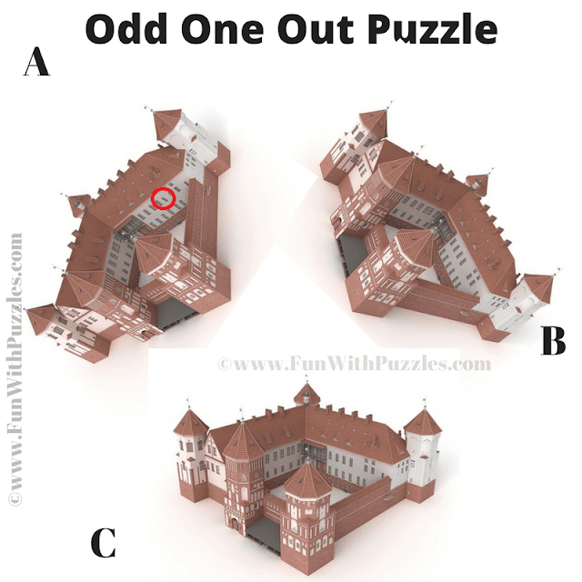Answer of Spot the Different Castle Picture Riddle
