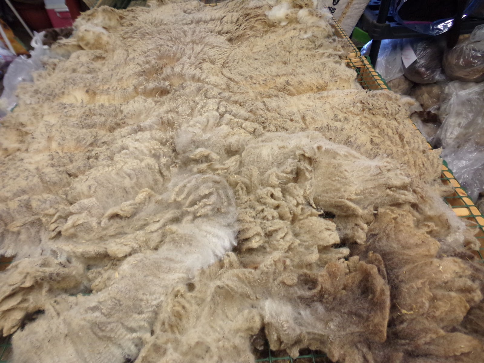 DLS Shetlands Skirted fleeces