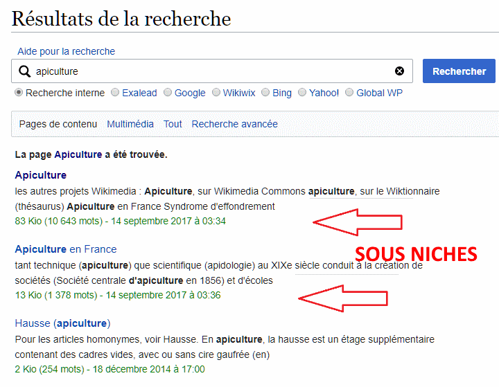 8 Hacks Puissants Pour Trouver Des Sous-Niches Rentables 8 Hacks Puissants Pour Trouver Des Sous-Niches Rentables