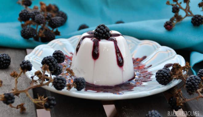 COCONUT PANNACOTTA WITH BLACKBERRY SYRUP 1