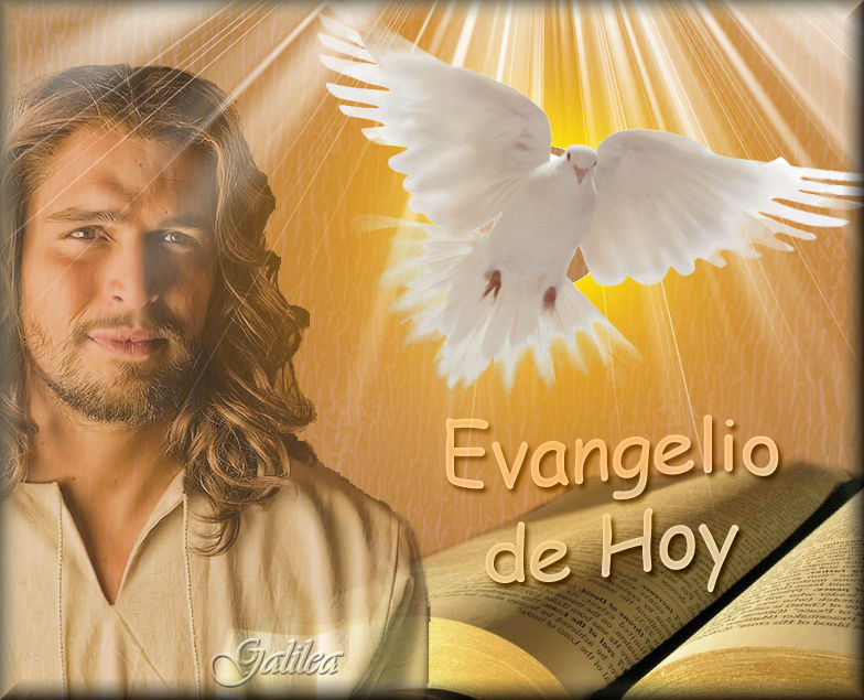 Testimonios para Crecer Santo Evangelio 2 de Mayo 2016