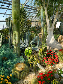 Centennial Park Conservatory Etobicoke desert garden by garden muses-not another Toronto gardening blog