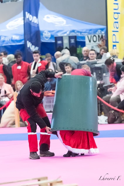 Découvrez l' Equipe Cynotechnique de LOIRE ATLANTIQUE: Démonstration à Découvrez l' Equipe Cynotechnique de LOIRE ATLANTIQUE: Démonstration à